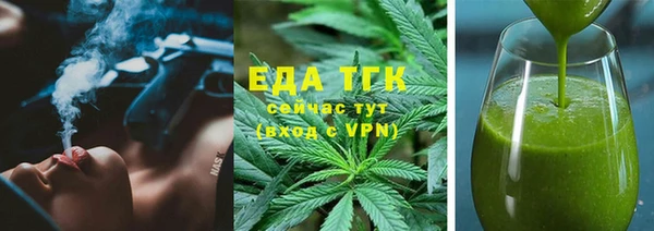 индика Алзамай