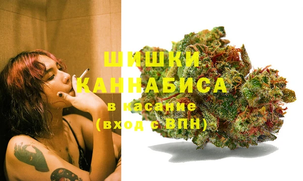 гашик Михайловка