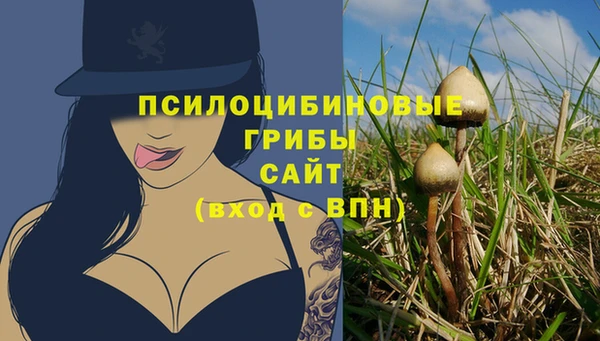 индика Алзамай